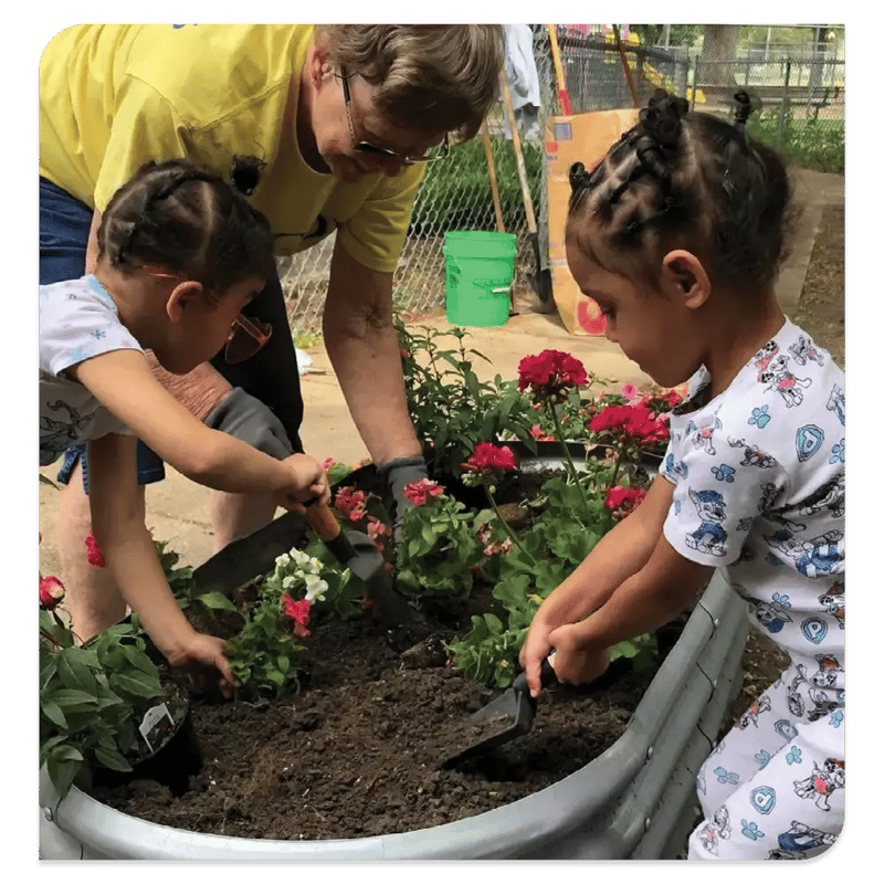 adult and two children planting flowers in a flower planter adult and two children planting flowers in a flower planter