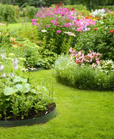 Flower Garden