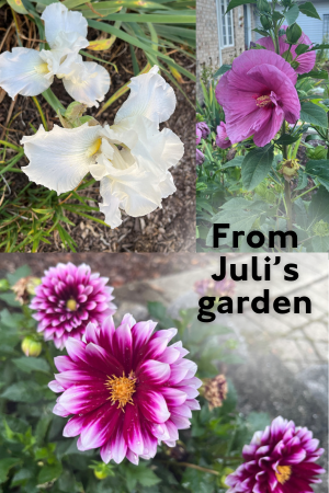 From Julis garden_0