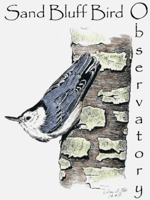 sand bluff bird observatory logo
