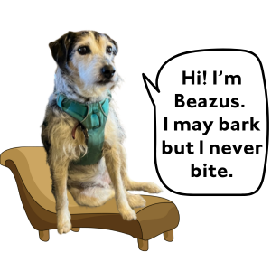 Beazus on a chaise lounge